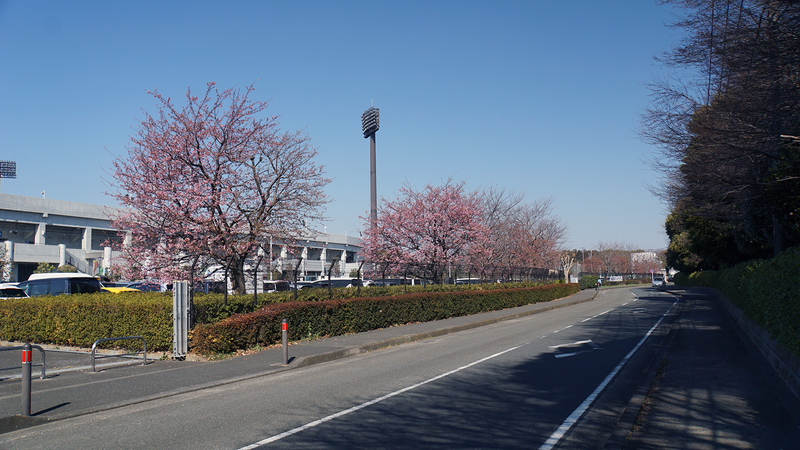 2025年3月1日　SC相模原vs鹿児島ユナイテッドFC