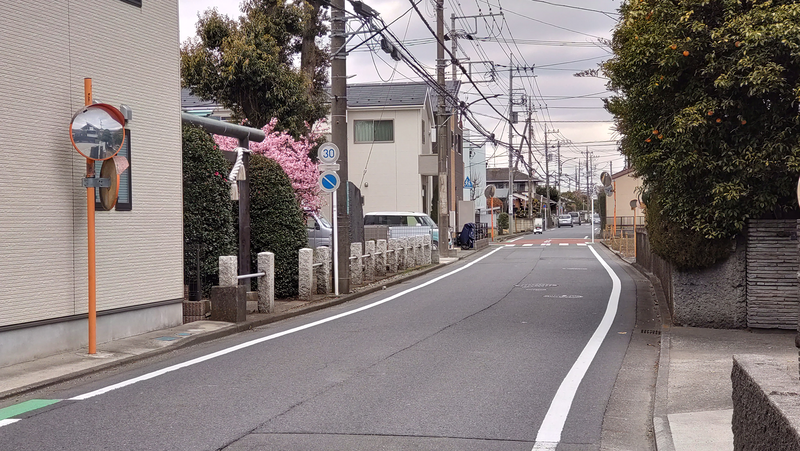 山王神社（相模原市南区上鶴間本町）