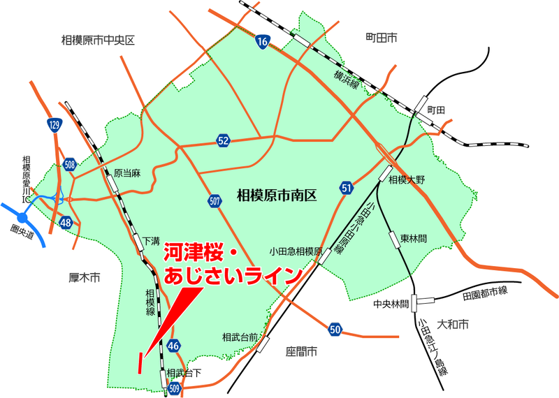河津桜・あじさいライン（相模原市南区新戸）