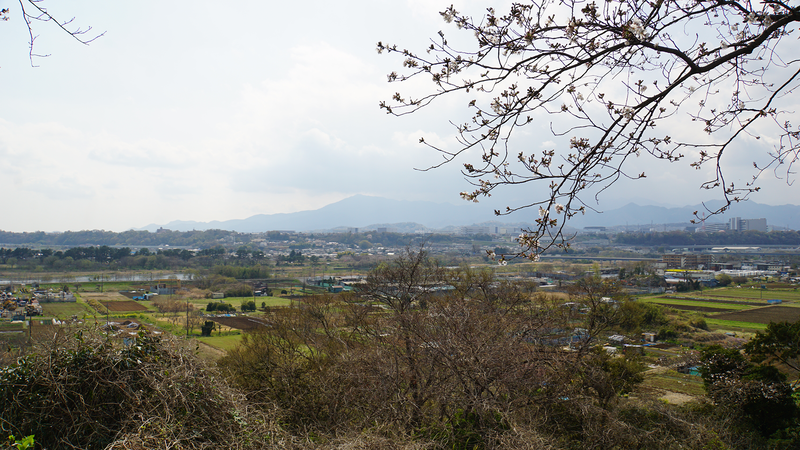 八景の棚（相模原市南区当麻・下溝）