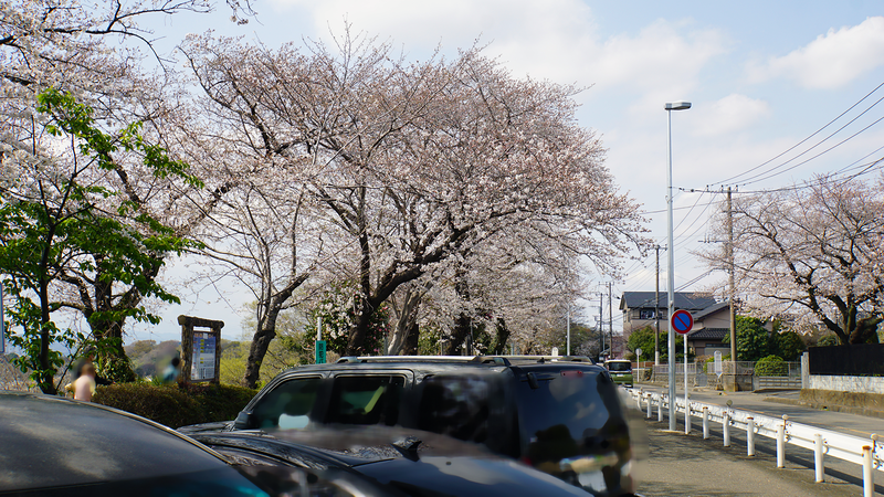 八景の棚（相模原市南区当麻・下溝）