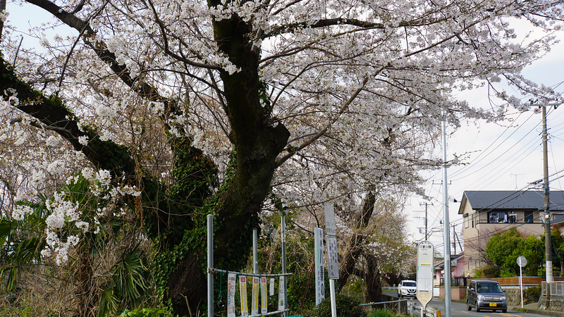 八景の棚（相模原市南区当麻・下溝）