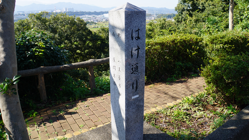 八景の棚（相模原市南区当麻・下溝）