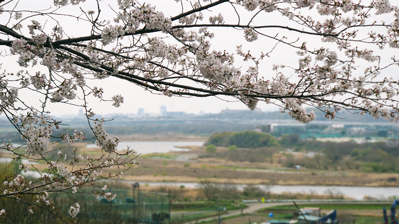 八景の棚（相模原市南区当麻）
