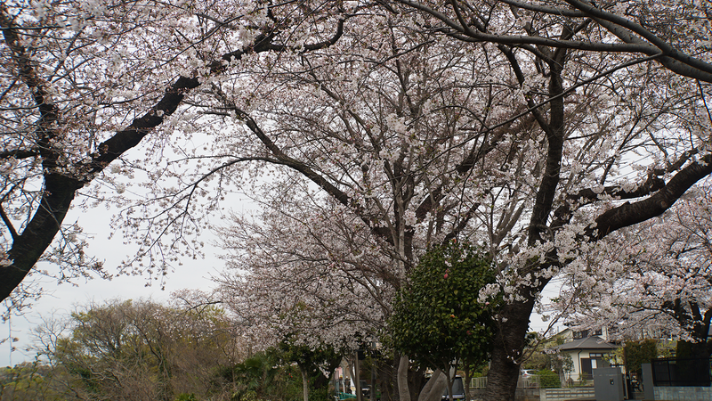 八景の棚（相模原市南区当麻・下溝）