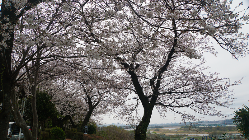 八景の棚（相模原市南区当麻・下溝）