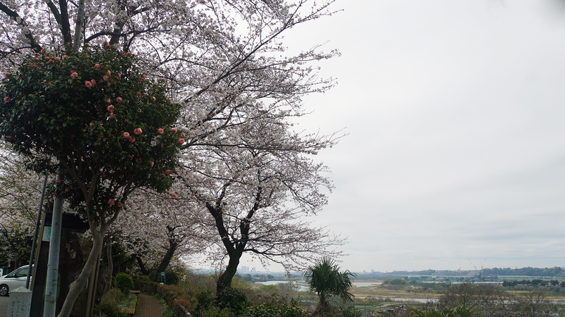 八景の棚（相模原市南区当麻・下溝）