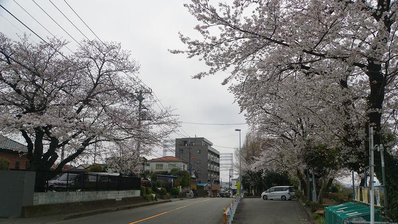 八景の棚（相模原市南区当麻・下溝）