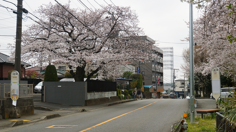 八景の棚（相模原市南区当麻）
