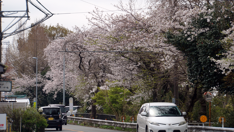 八景の棚（相模原市南区当麻）