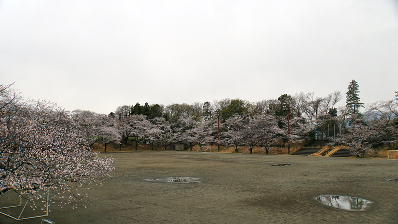 下溝古山公園（相模原市南区下溝）