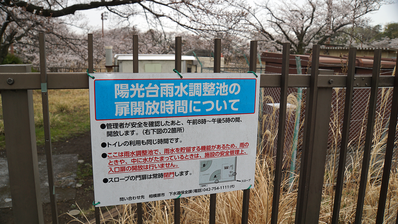 下溝古山公園（相模原市南区下溝）