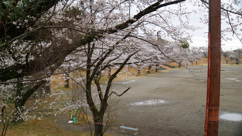 下溝古山公園（相模原市南区下溝）