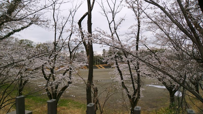 下溝古山公園（相模原市南区下溝）