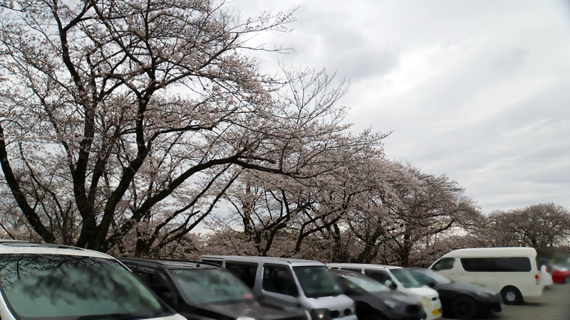 下溝古山公園（相模原市南区下溝）
