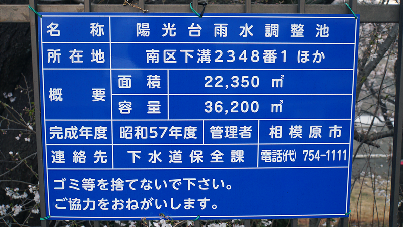 下溝古山公園（相模原市南区下溝）