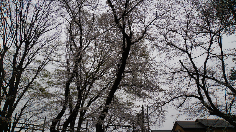 林間公園（相模原市南区東林間）