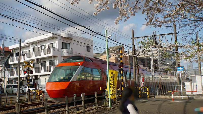 林間公園（相模原市南区東林間）