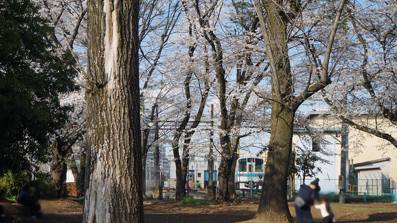 林間公園（相模原市南区東林間）