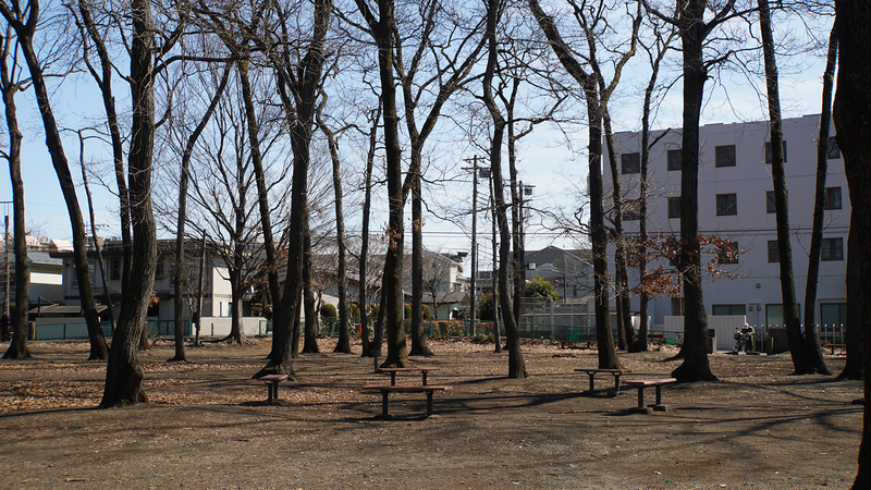 林間公園（相模原市南区東林間）