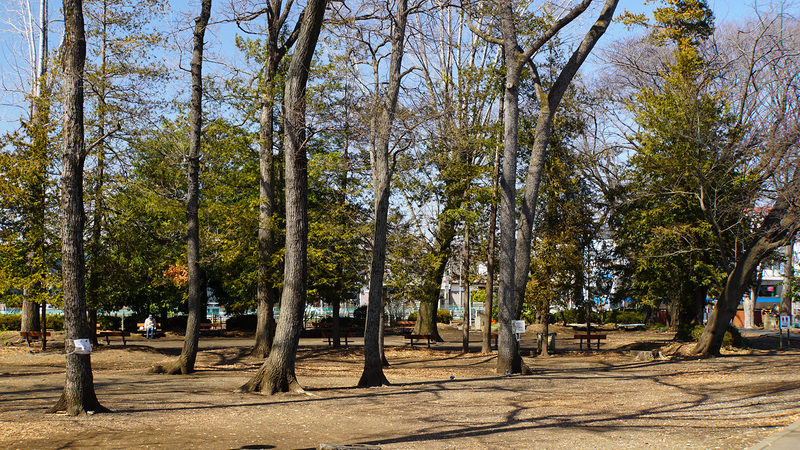 林間公園（相模原市南区東林間）