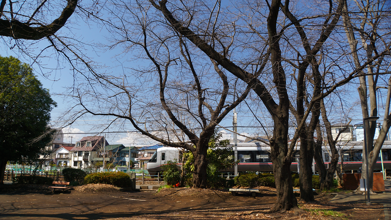 林間公園（相模原市南区東林間）