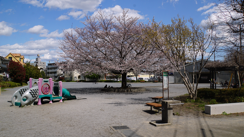 南台公園（相模原市南区南台）