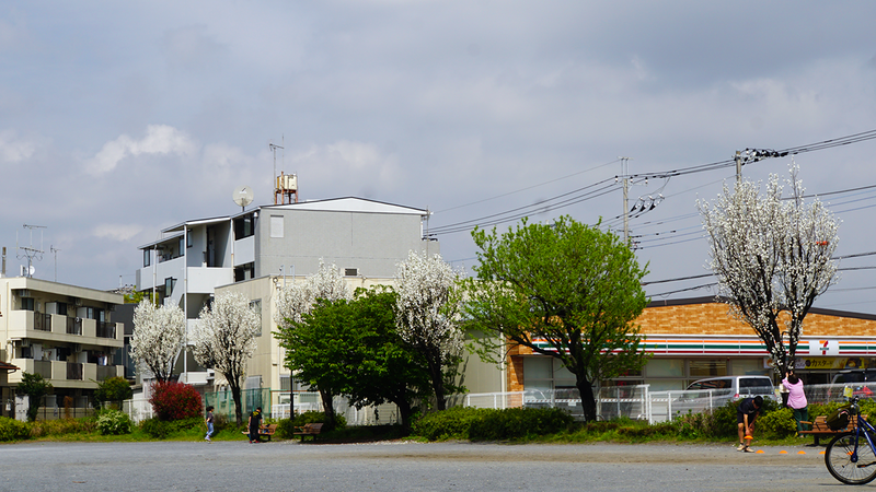 南台公園（相模原市南区南台）