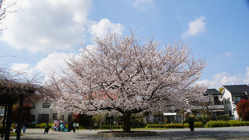 南台公園（相模原市南区南台）