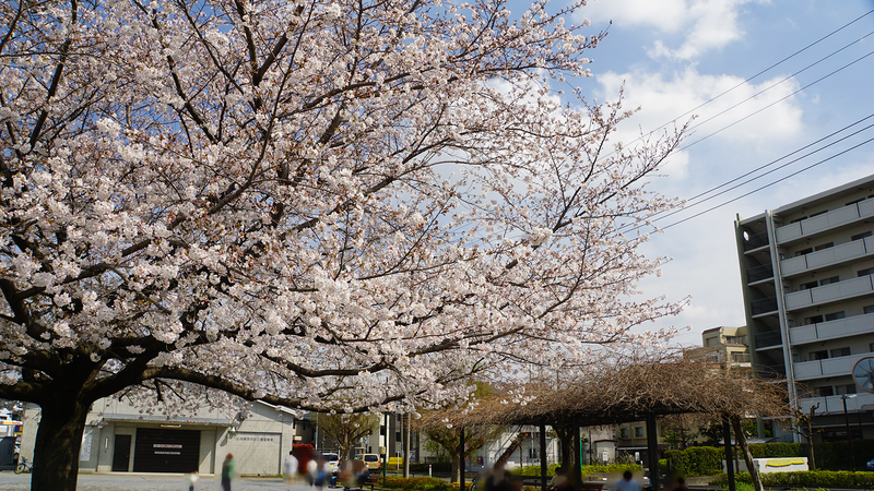 南台公園（相模原市南区南台）