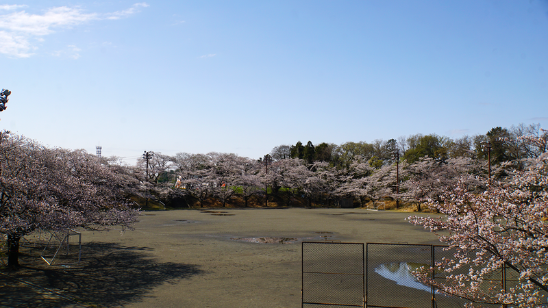 下溝古山公園（相模原市南区下溝）