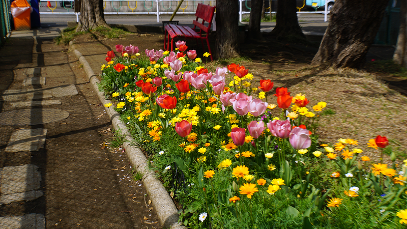 相模台公園（相模原市南区桜台）