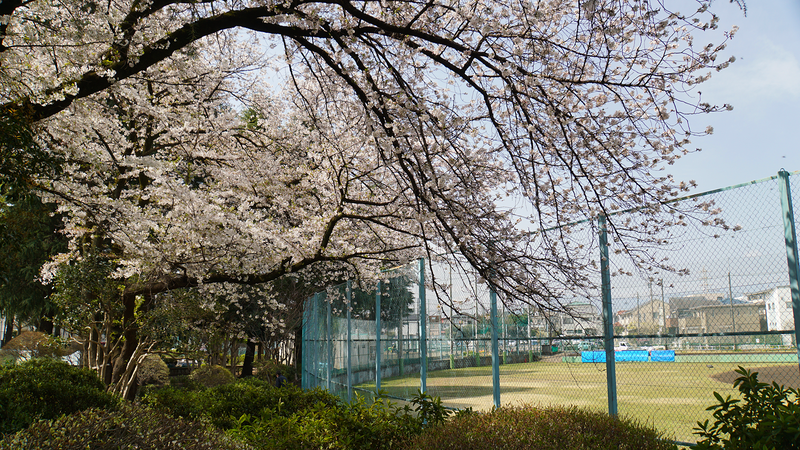 相模台公園（相模原市南区桜台）
