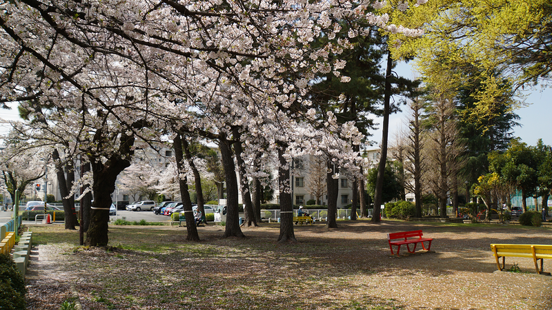 相模台公園（相模原市南区桜台）