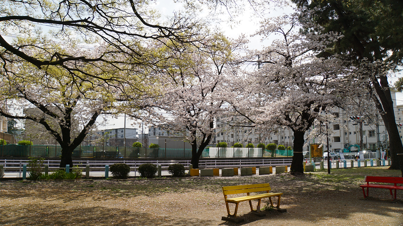相模台公園（相模原市南区桜台）