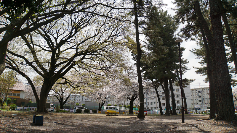 相模台公園（相模原市南区桜台）