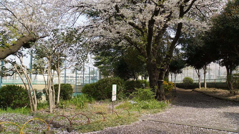 相模台公園（相模原市南区桜台）