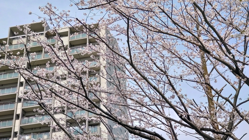 古淵西公園（相模原市南区古淵）