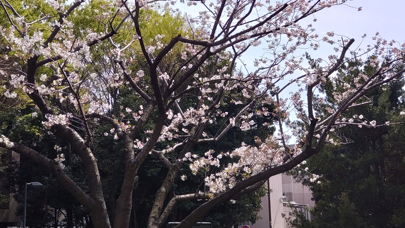 古淵西公園（相模原市南区古淵）