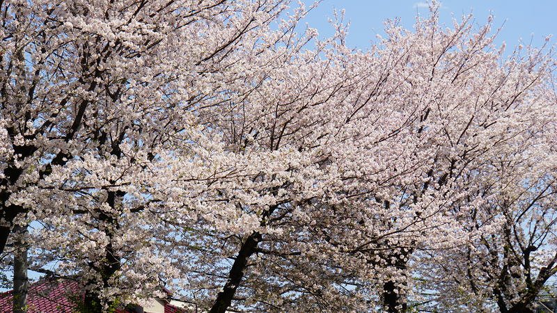 大野台御嶽神社・大野台中央公園（相模原市南区大野台）