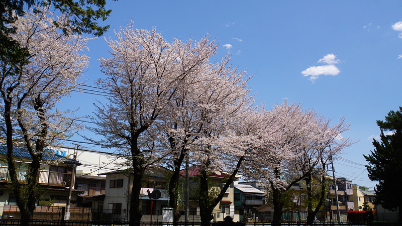大野台御嶽神社・大野台中央公園（相模原市南区大野台）