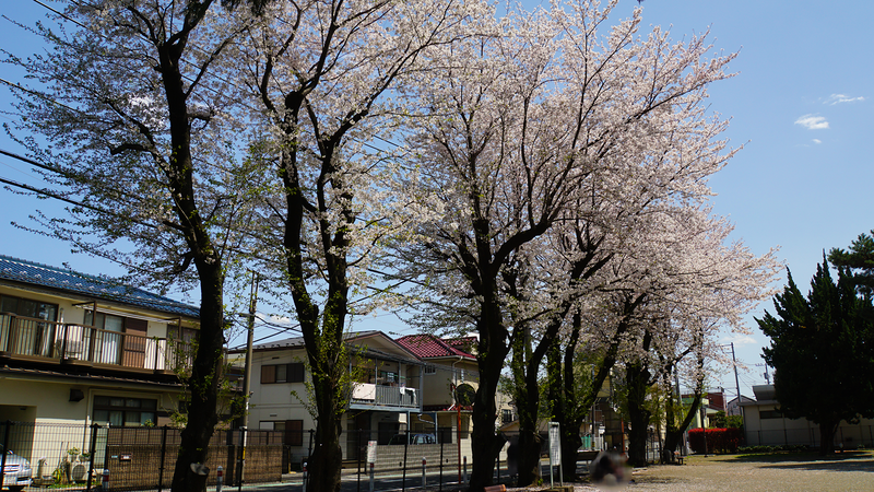 大野台御嶽神社・大野台中央公園（相模原市南区大野台）