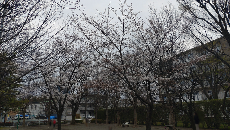 谷口南台公園（相模原市南区上鶴間本町）