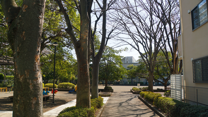 相模大野７丁目公園（相模原市南区相模大野）