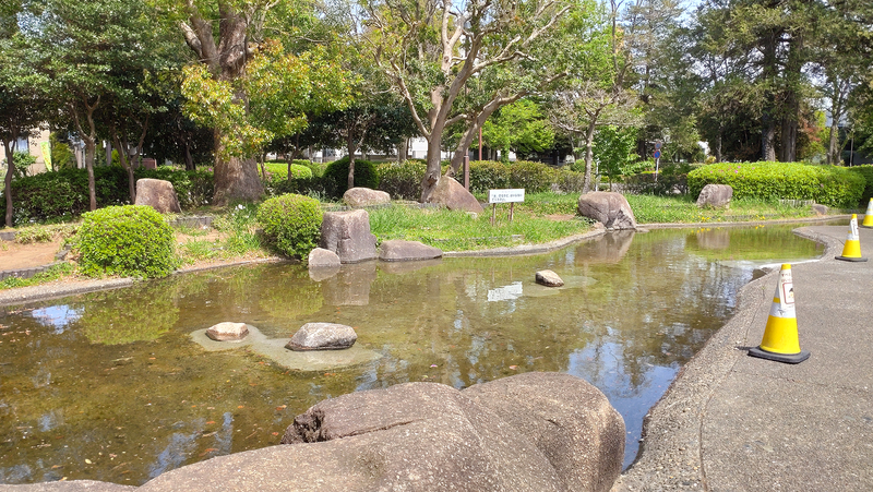 相模大野中央公園（相模原市南区相模大野）