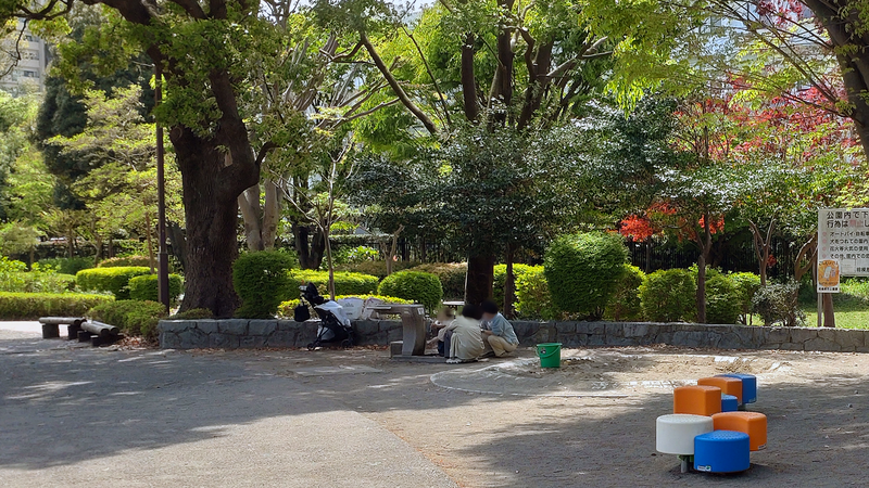 相模大野中央公園（相模原市南区相模大野）