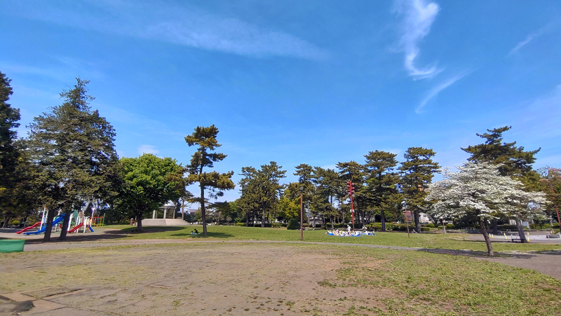相模大野中央公園（相模原市南区相模大野）