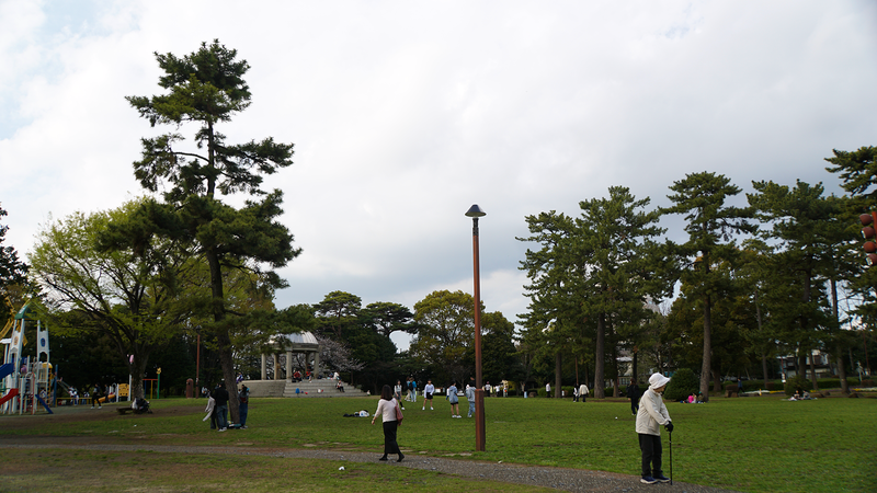 相模大野中央公園（相模原市南区相模大野）