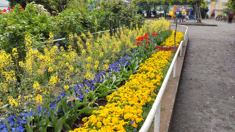 東林間公園（相模原市南区上鶴間）