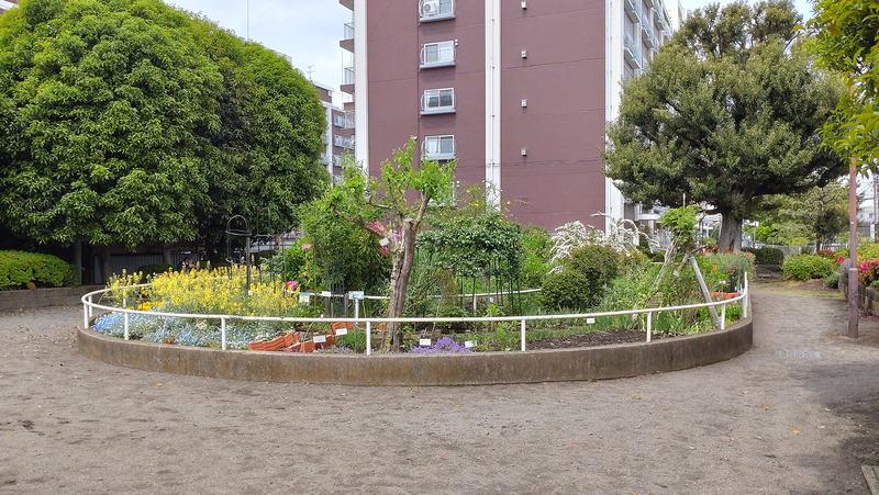 東林間公園（相模原市南区上鶴間）